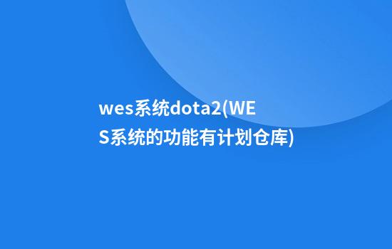 wes系统dota2(WES系统的功能有计划仓库)