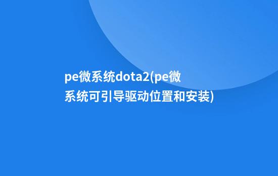 pe微系统dota2(pe微系统可引导驱动位置和安装)