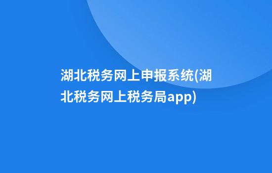 湖北税务网上申报系统(湖北税务网上税务局app)