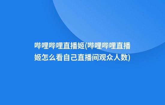 哔哩哔哩直播姬(哔哩哔哩直播姬怎么看自己直播间观众人数)