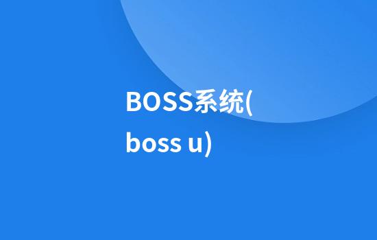 BOSS系统(boss u)